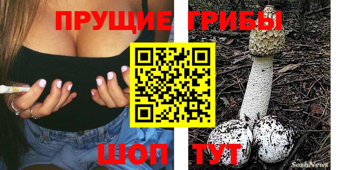 Галлюциногенные грибы GOLDEN TEACHER  Вход с VPN  Сальск  Галлюциногенные грибы Psilocybine cubensis 